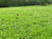 Vente Terrain 1000 m2 Ailly