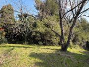 Vente Terrain 1000 m2 Aramon