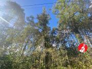 Vente Terrain 1000 m2 Arbonne la Forêt