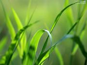 Vente Terrain 1000 m2 Auffay