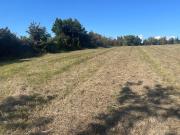 Vente Terrain 1000 m2 Cars