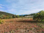 Vente Terrain 1000 m2 Molitg les Bains