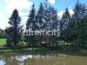 Vente Terrain 10109 m2 Loupfougères