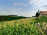 Vente Terrain 1017 m2 Bligny sur Ouche