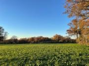 Vente Terrain 1030 m2 Mosnay