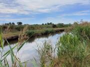 Vente Terrain 10314 m2 Saint Bonnet sur Gironde