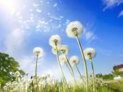 Vente Terrain 1043 m2 La Tremblade