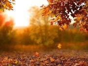 Vente Terrain 1050 m2 Marsac sur l'Isle