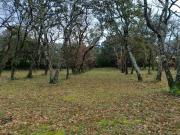 Vente Terrain 1055 m2 Saint Siffret