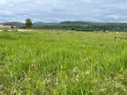 Vente Terrain 1056 m2 Prudhomat