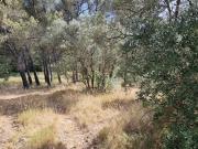 Vente Terrain 1060 m2 Aix en Provence