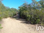 Vente Terrain 110000 m2 Callian