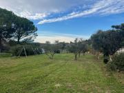 Vente Terrain 1100 m2 Mas Blanc des Alpilles