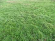 Vente Terrain 1100 m2 Nanteau sur Lunain