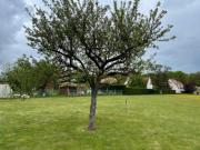 Vente Terrain 112000 m2 Longnes