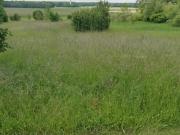 Vente Terrain 1121 m2 Briou