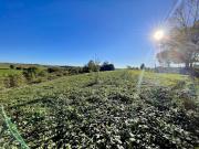 Vente Terrain 11232 m2 Bellegarde