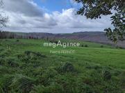 Vente Terrain 1134 m2 Paulinet