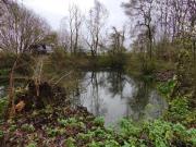 Vente Terrain 1150 m2 Cartigny