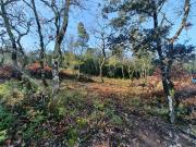 Vente Terrain 1150 m2 Labastide de Virac