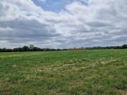 Vente Terrain 1178 m2 Marçay