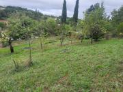 Vente Terrain 1190 m2 Puygouzon