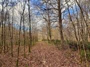 Vente Terrain 119780 m2 Fontaines en Sologne