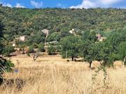 Vente Terrain 1197 m2 Le Brusquet