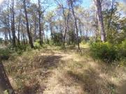 Vente Terrain 1200 m2 Bagnols en Forêt