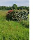 Vente Terrain 1200 m2 Juigné des Moutiers