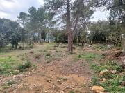 Vente Terrain 1200 m2 Montfort sur Argens