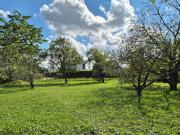 Vente Terrain 1200 m2 Wittenheim