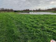 Vente Terrain 12100 m2 Saigneville