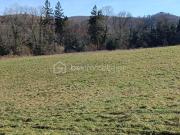 Vente Terrain 1230 m2 Ance