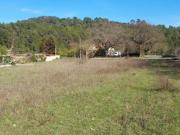 Vente Terrain 1230 m2 Carces