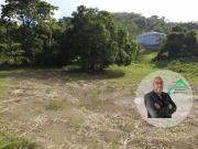 Vente Terrain 1241 m2 Le vauclin