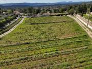 Vente Terrain 1260 m2 Cotignac