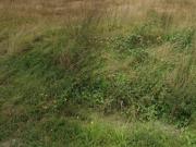 Vente Terrain 1279 m2 Varennes Changy