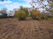 Vente Terrain 1281 m2 Azay sur Cher