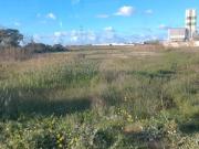 Vente terrain 13000 m² à Tanger