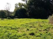 Vente Terrain 1300 m2 Saint Vaast Dieppedalle