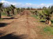Vente terrain 13200 m² à Marrakech