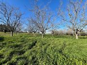 Vente Terrain 1328 m2 Liourdres