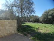 Vente Terrain 1341 m2 Uzès