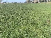 Vente Terrain 13500 m2 Bellegarde