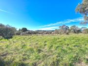 Vente Terrain 1381 m2 Bagnols en Forêt