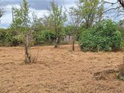 Vente Terrain 1383 m2 Mosnay