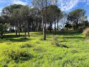 Vente Terrain 1410 m2 Grimaud