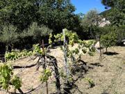 Vente Terrain 1410 m2 Solliès Toucas