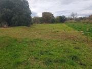 Vente Terrain 1435 m2 Caux